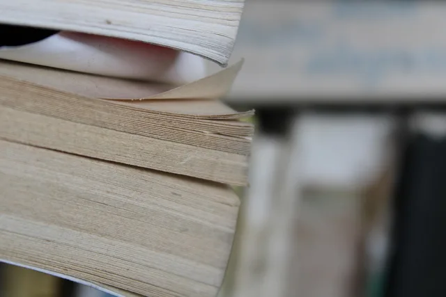 books, pages, paper, publication, study, library, literature, reading, closeup. Zarządzanie opóźnieniami w publikacji